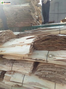 探索優質木材 產品、價格、廠家與一站式采購指南